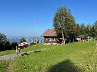 82